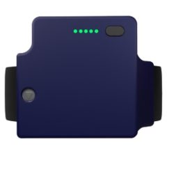 anklemonitor